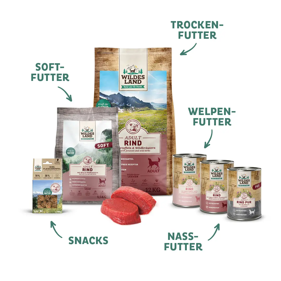 Eine Auswahl an „Wildes Land“-Produkten mit Hundefutter Rind, darunter Trockenfutter, Nassfutter und Snacks. Die Produkte betonen natürliche Zutaten und eine artgerechte Ernährung für Hunde.